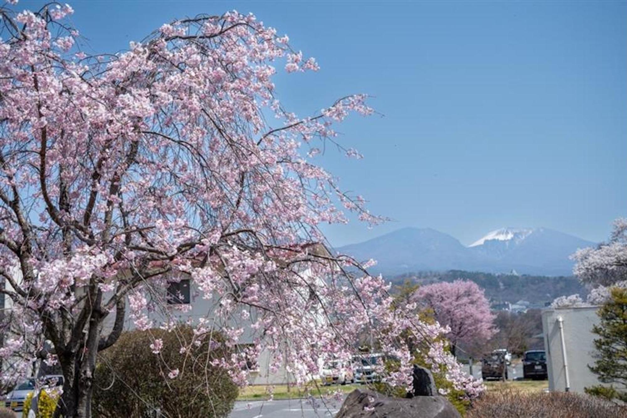 Nunohiki Onsen Komoro ภายนอก รูปภาพ
