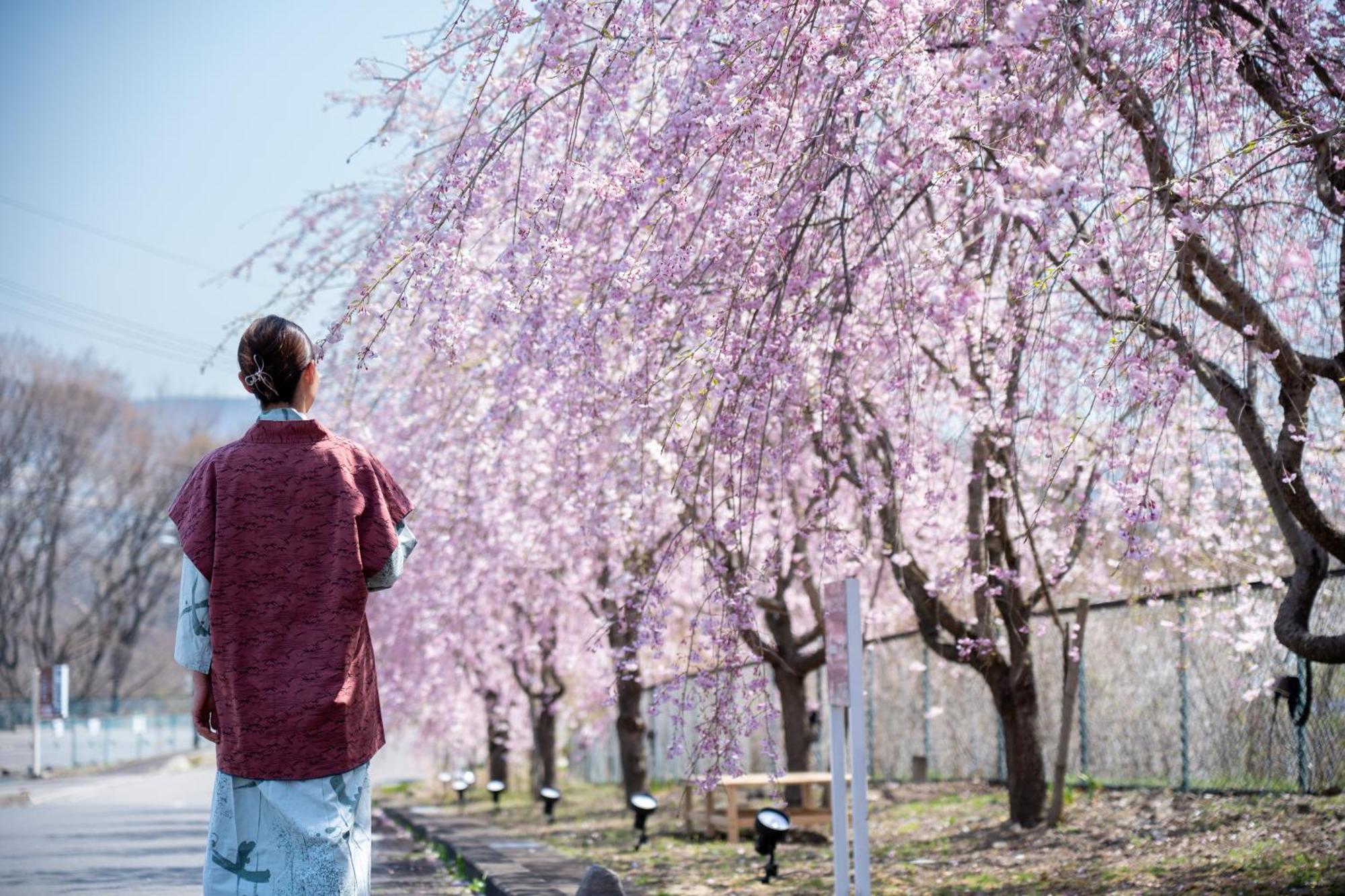 Nunohiki Onsen Komoro ภายนอก รูปภาพ