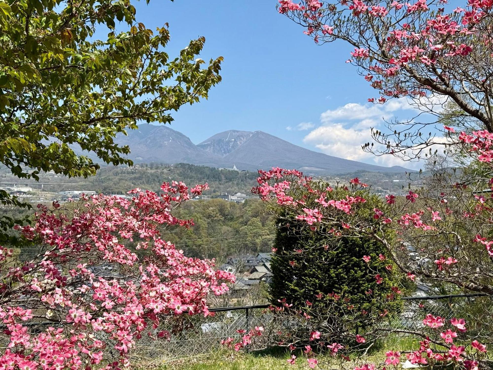 Nunohiki Onsen Komoro ภายนอก รูปภาพ